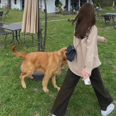 生活真美好 在线观看